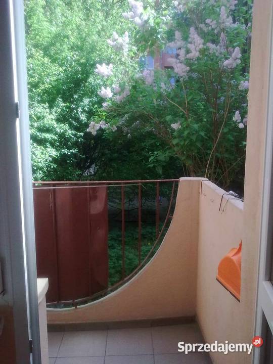 Pokój Meldunek w Mieszkaniu centrum Opola Opole sprzedam