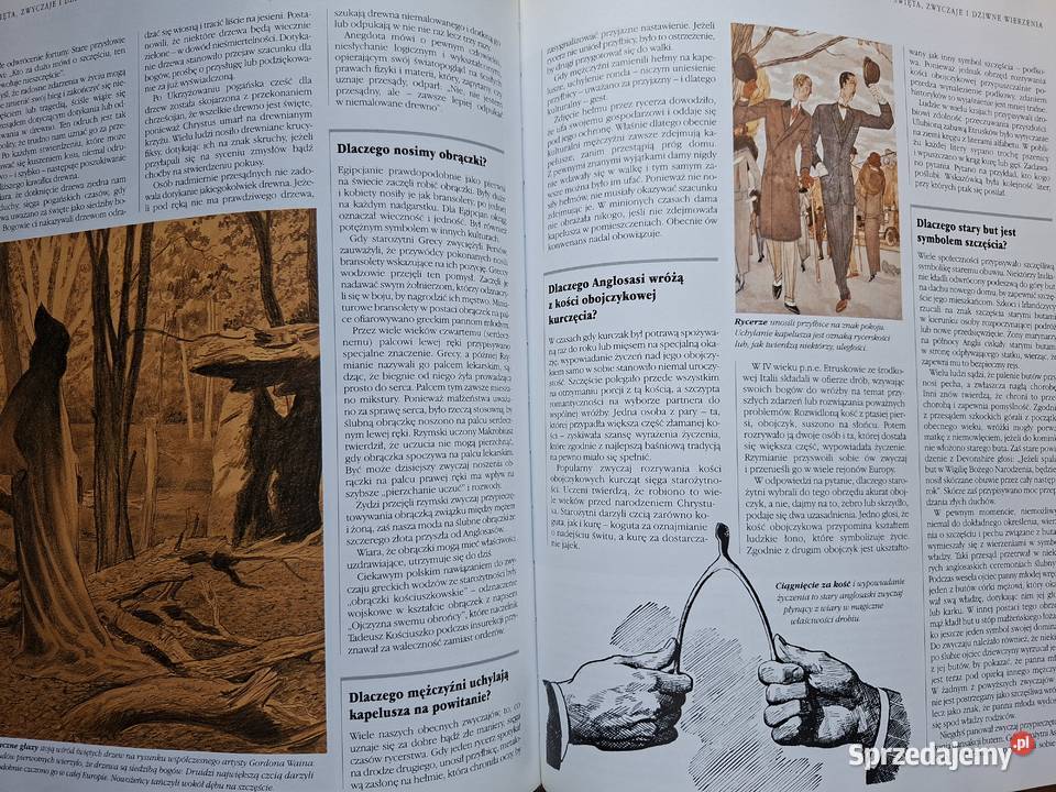 Dlaczego Fascynujące dzieje zjawisk zdarzeń i Rok wydania 2001 Kultura i Rozrywka Kraków