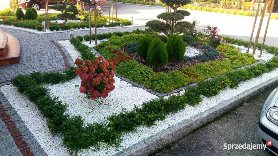 PROJEKTOWANIE I ZAKŁADANIE OGRODÓW GREEN POINT Kielce