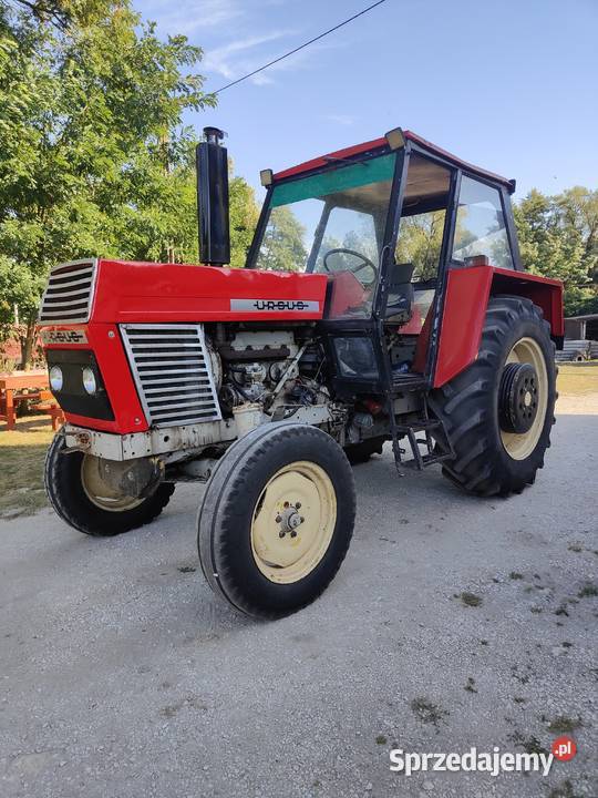 Ursus c385 świętokrzyskie Korytnica