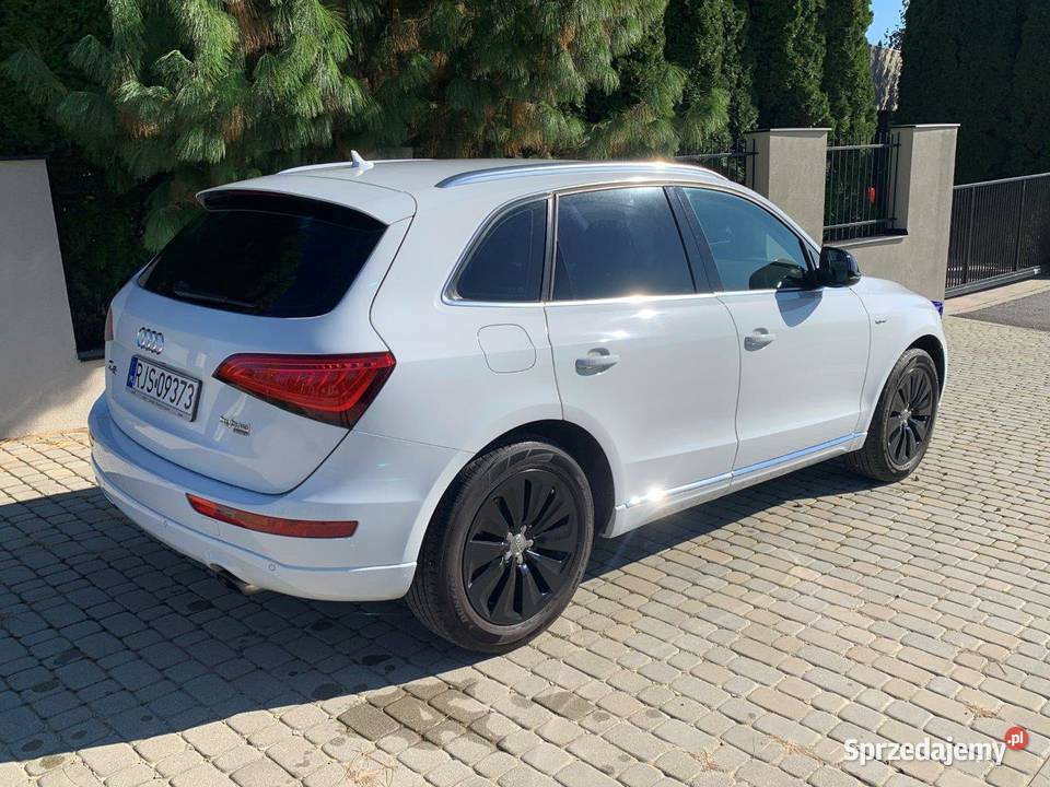Audi Q5 Quattro Hybryd Q5 Jasło