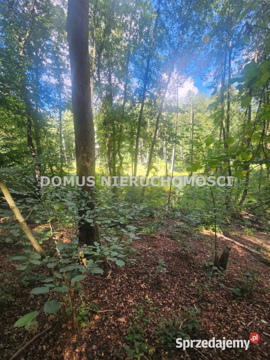 Sprzedaż gruntu Nagawki 1915m2 łódzkie sprzedam