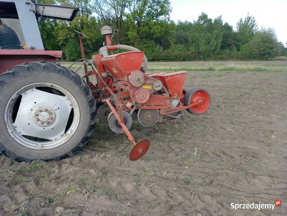 Siewnik do kukurydzy cztero rzędowy talerzowy Maszyny rolnicze