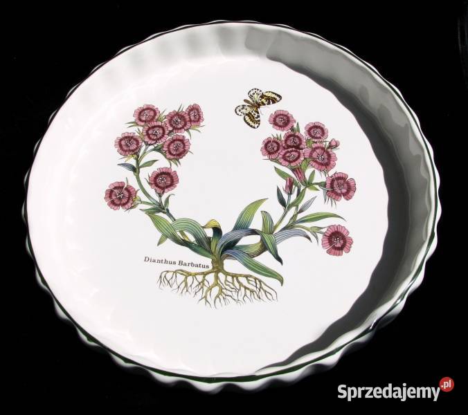 Botanica Goździk brodaty Żaroodporna forma do Koszalin sprzedam