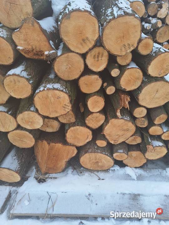 sprzedam metry olszowe podkarpackie Nockowa