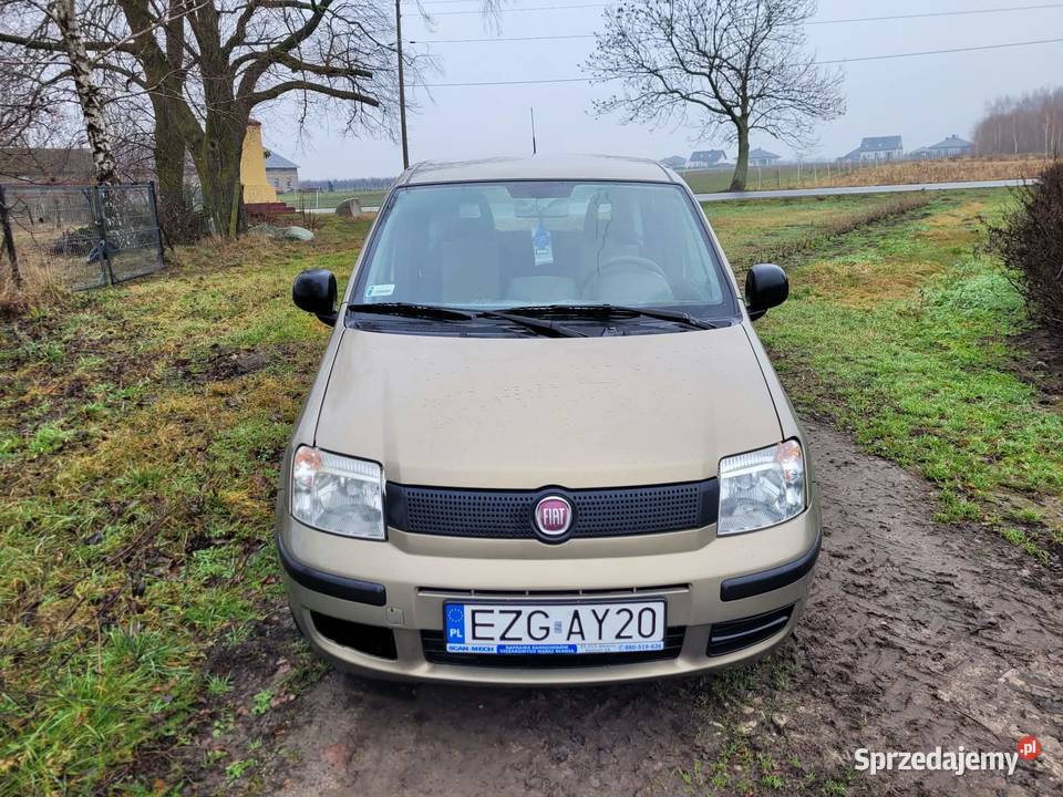 Fiat Panda 11 Głowno