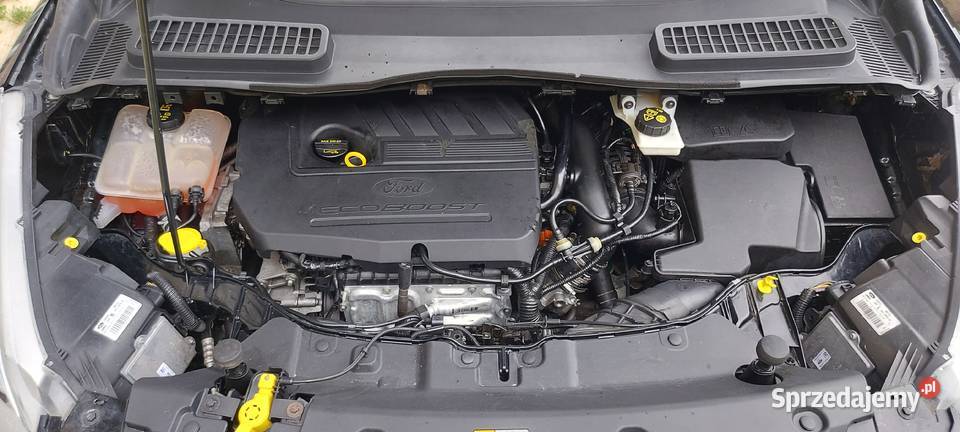 Kuga 85 podgrzewane fotele Paczków