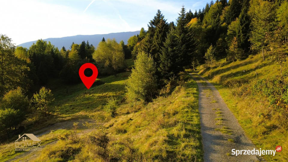 Działka 7198m2 Zawoja Sprzedaż małopolskie sprzedam