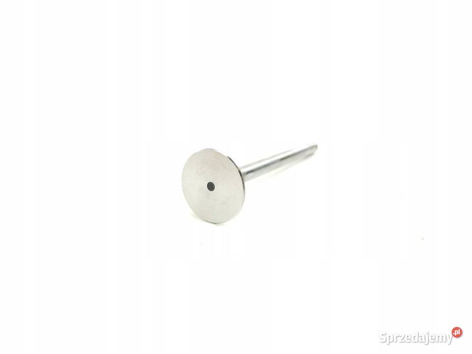 ZAWÓR WYDECHOWY OPEL ASTRA F G 17 TD ORYGINAŁ sprzedam