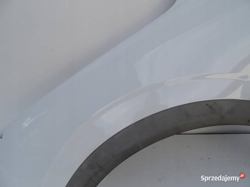 BŁOTNIK LEWY PRZÓD PRZEDNI OPEL ANTARA 0615r osobowe sprzedam
