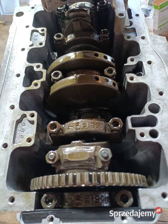 Silnik remoncie Audi VW Skoda Seat Silniki kompletne Lublin