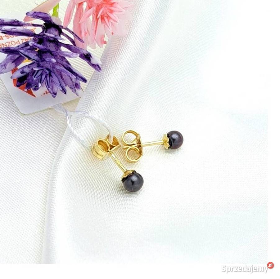 Kolczyki Złote pr585 Perełki 45mm sztyft Z204 Poznań