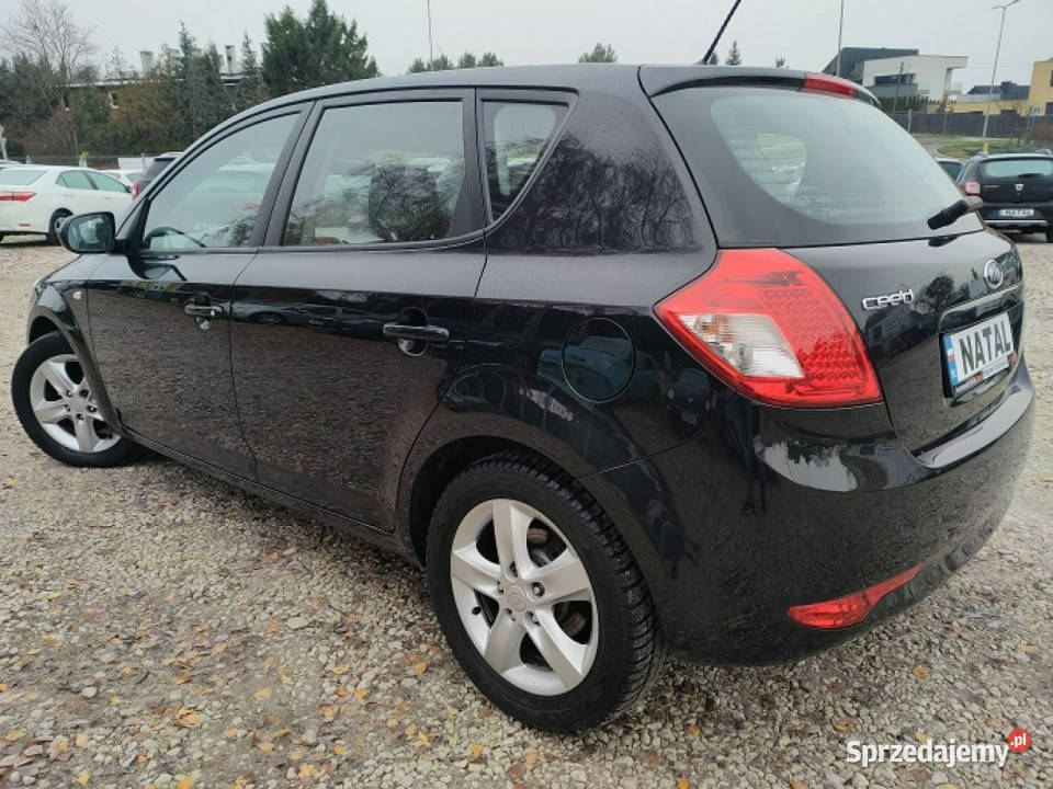Kia Ceed 89000 Navi Kamera I 20062012 Bydgoszcz
