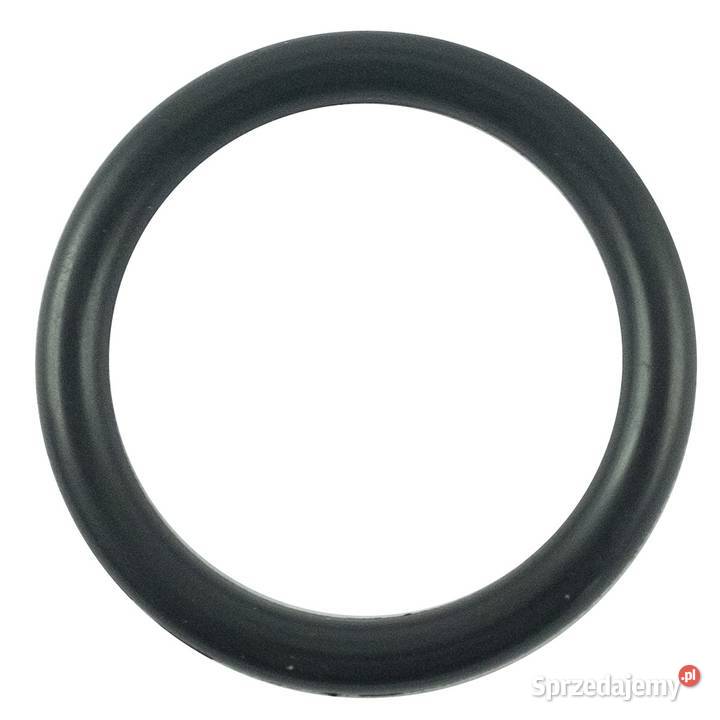 Oring 2370 x 350 mm LS MT125 LS XJ25 S801024010 Tajęcina