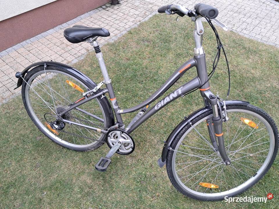 Sorzedam Rower Giant comfort cypress S Kutno sprzedam