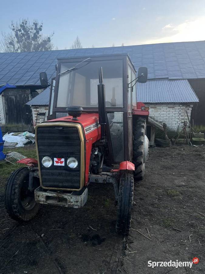 Massey Ferguson 255 lubelskie Gruszka Mała Druga