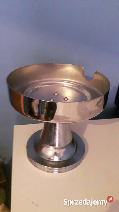 Gromnica ogromna Warszawa