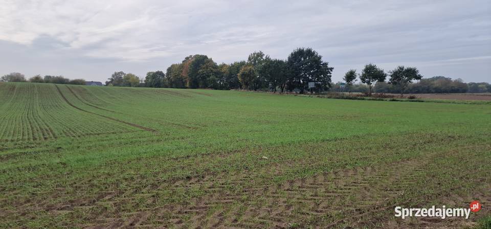 StargardKiczarowo DZIAŁKA 2728 m24WZ Kiczarowo