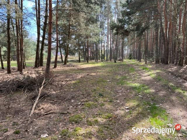 Grunt 3100m2 Żanecin budowlana
