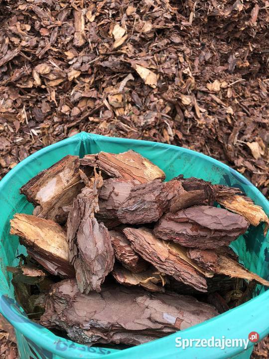 Kora sosnowa gruba sortowana DOSTAWA podłoża sprzedam