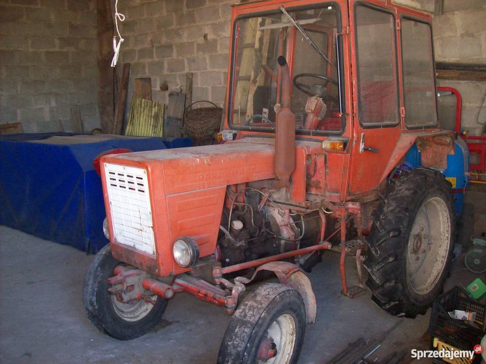 sprzedam wladimirca t25a1 Żelechów