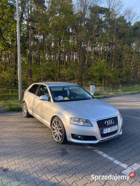 Audi A3 8P 20 TDI CR lifcie AMBITION Zarejestrowany w Polsce wielkopolskie Stęszew
