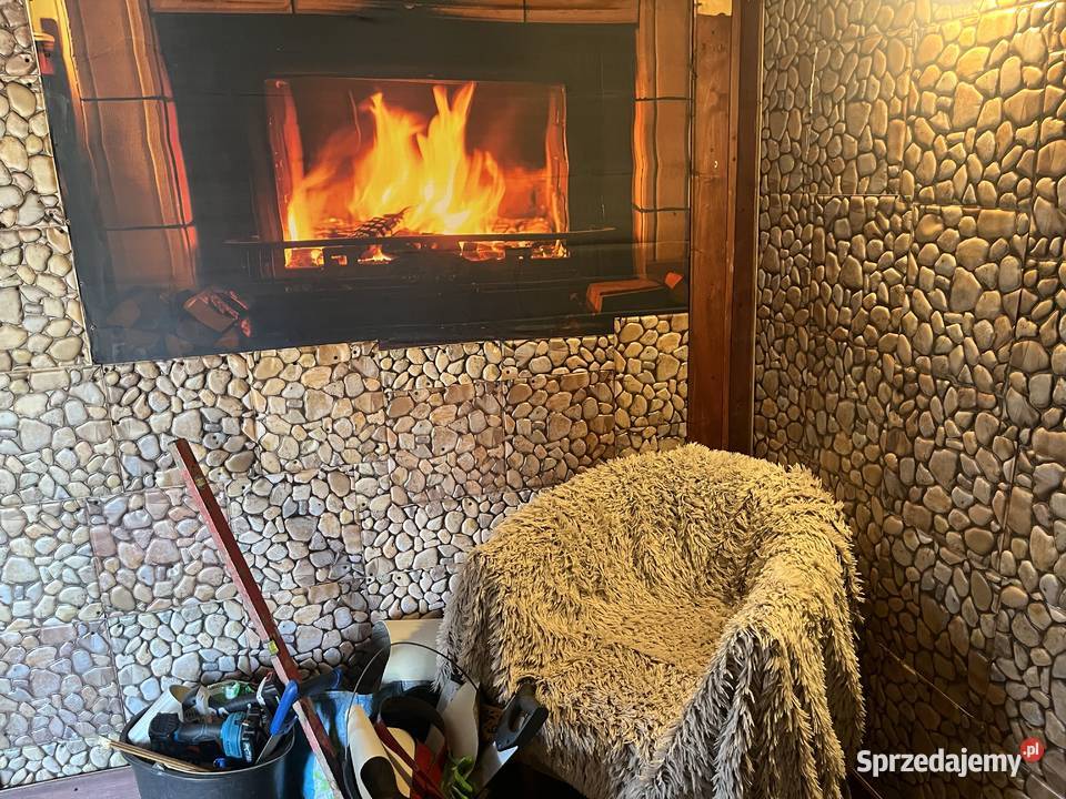 Sprzedam działkę ROD Oaza Plock Płock sprzedam