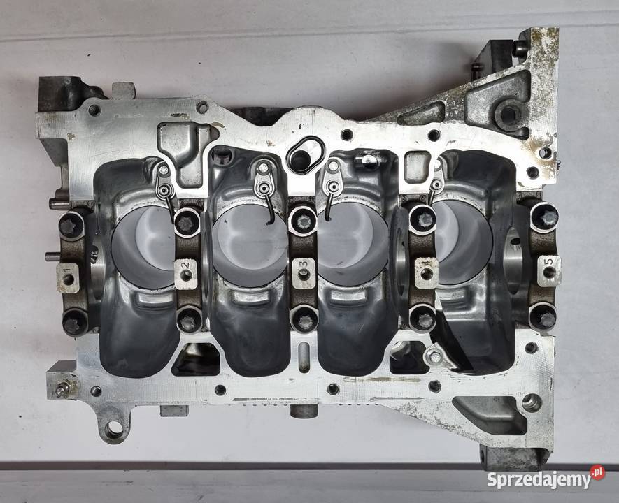 Blok silnika Renault Megane 3 Scenic III 12 TCe Łask