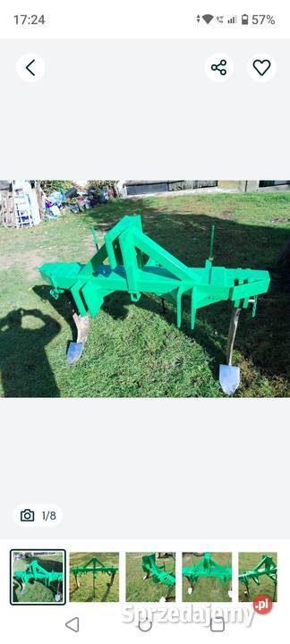 Głębosz lubelskie Białki Dolne