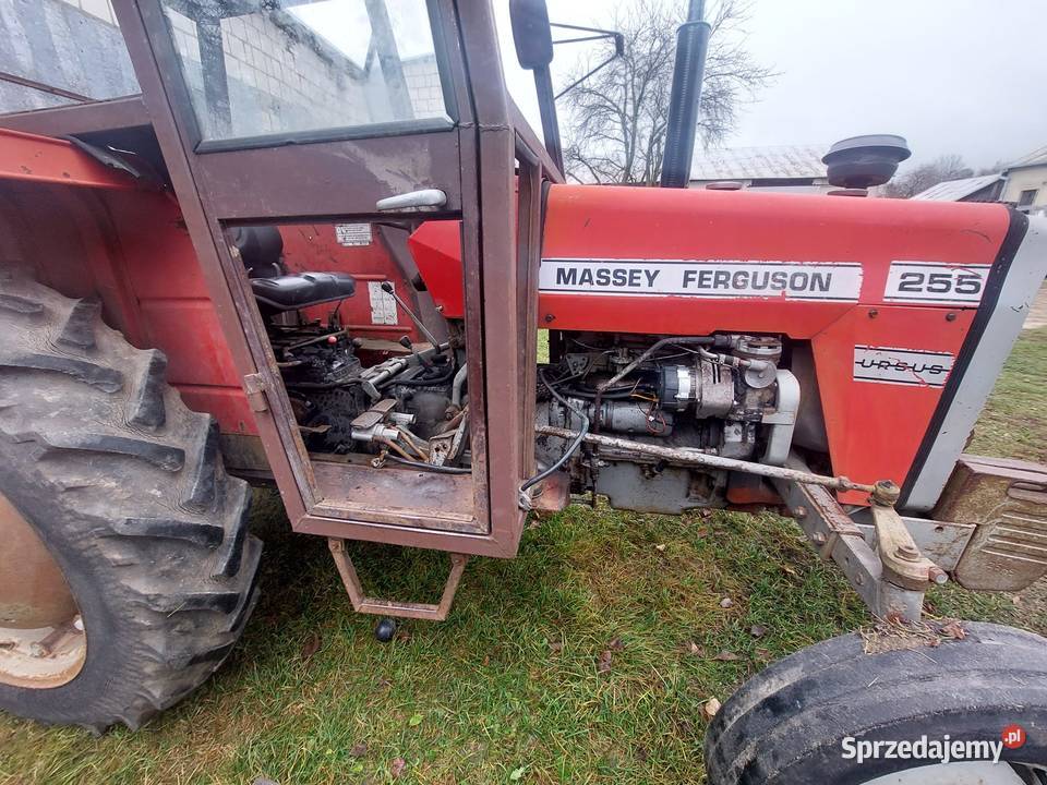 Ciągnik Massey Ferguson 255 Stara Kornica