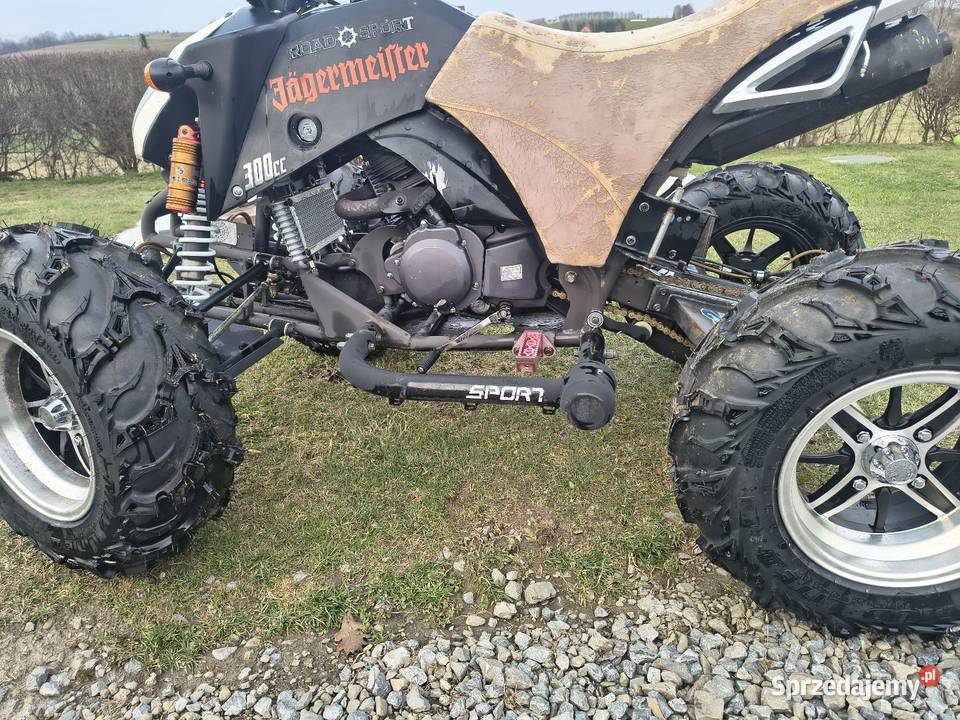 Bashan bs 300 małopolskie Łużna sprzedam