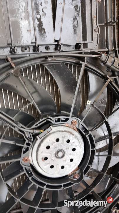AUDI A4 B7 19 TDI PAS PRZEDNI KOMPLET Zbierkowo sprzedam