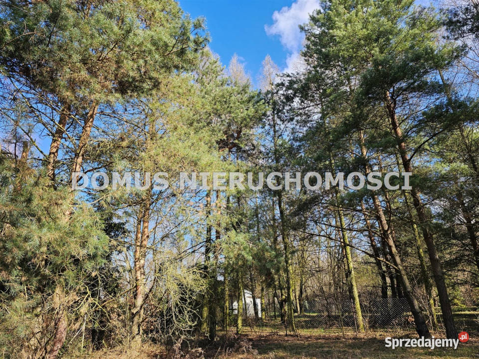 Działka 953 metry Kościanki wielkopolskie