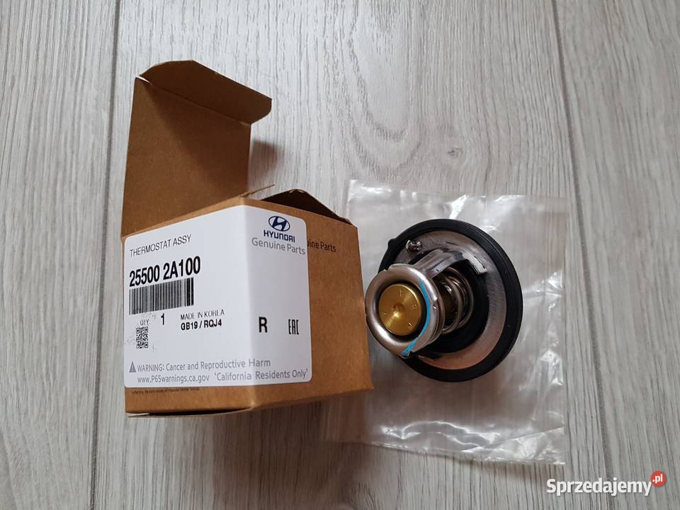 Termostat HYUNDAI KIA 2550002A100 255002A100 Układ chłodzenia