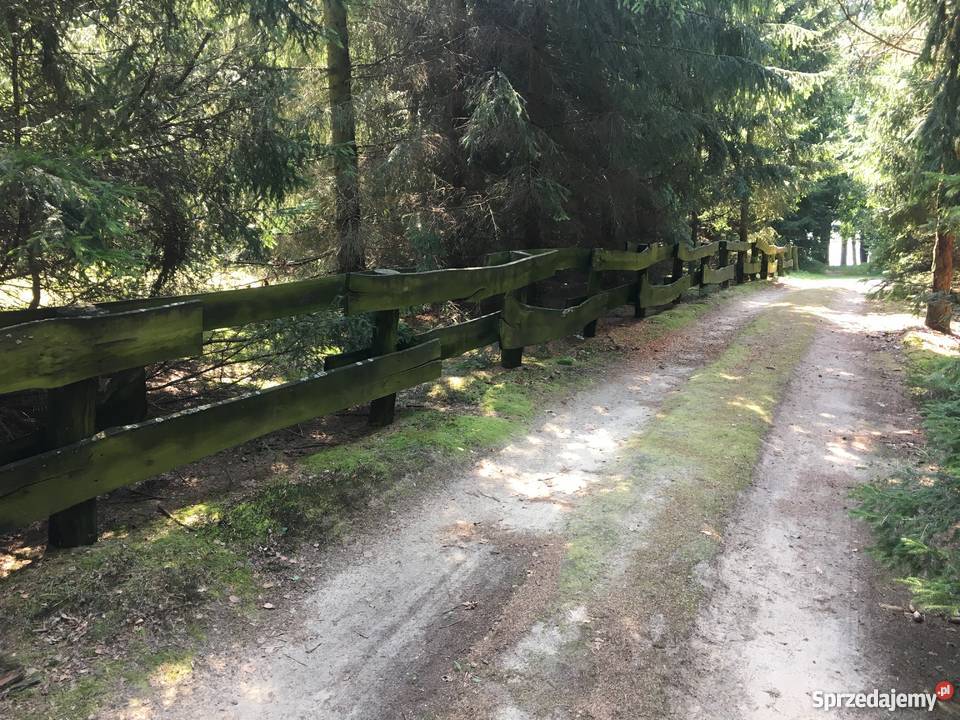 Dzialka rekreacyjna jeziorem 900m2 warmińsko-mazurskie