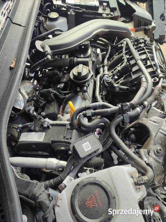 Cupra Leon Sportstourer 15eTSI 150 Oryginalny wielkopolskie Turek