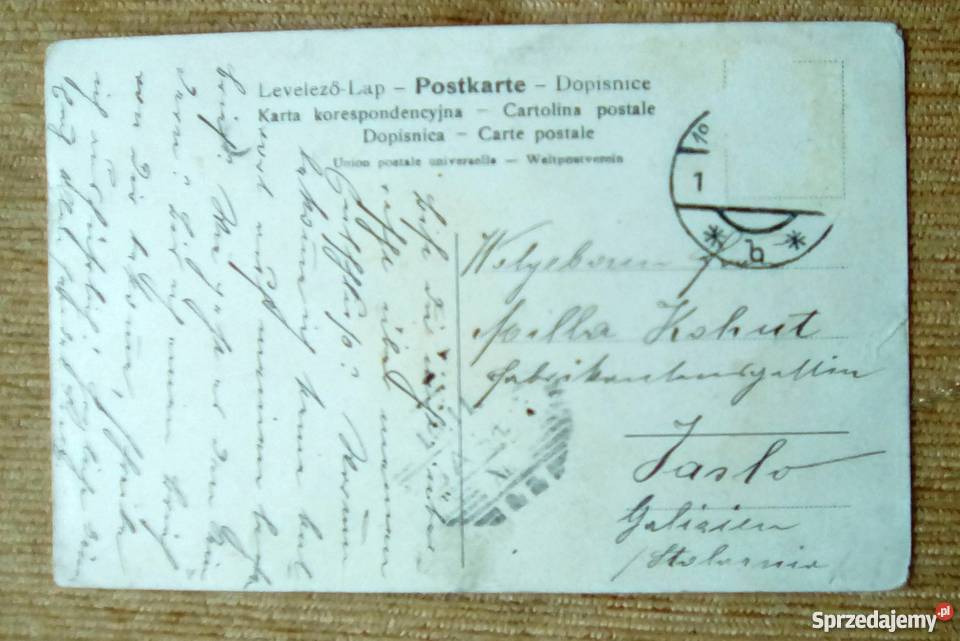 BILLROTHPAVILLON RUDOLFINERHAUS W WIEDNIU lubelskie Piszczac