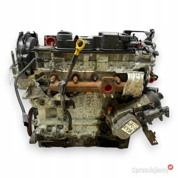 SILNIK KVJA Ford Fiesta VII MK7 14 TDCI 70 Chełm