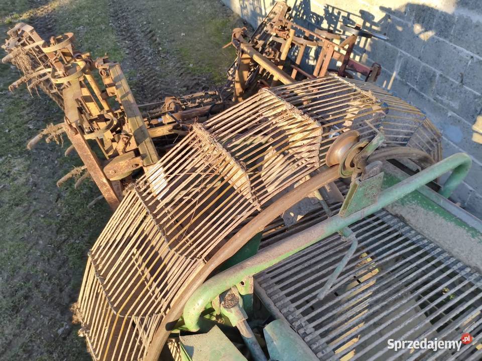 Kombajn do ziemniaków Hassia Gdów