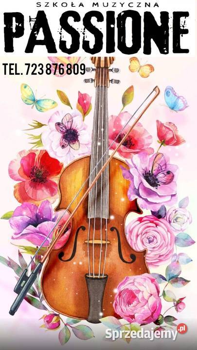 Skrzypce gitara pianino perkusja wookal lekcje Strzyżów