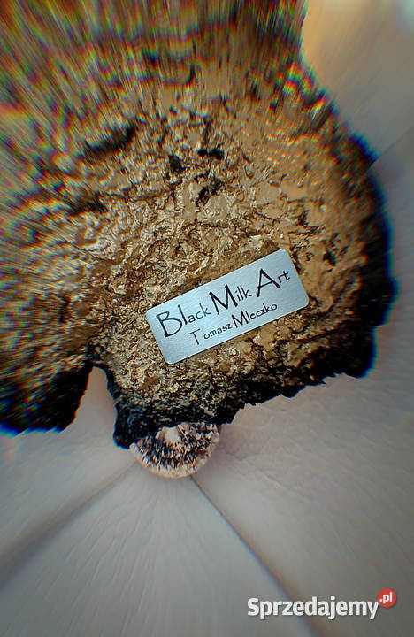 Złoty kinkiet damski rzeźba lampa sztuka Piła