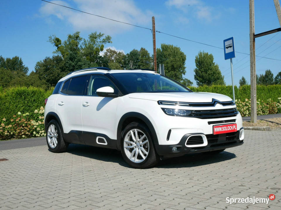Citroen C5 Aircross 15 BHDI 131 Shine Automat biały śląskie Goczałkowice-Zdrój