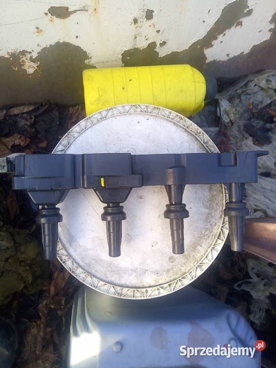 Cewka zapłonowa Citroen Xsara Picasso 16 benzyna