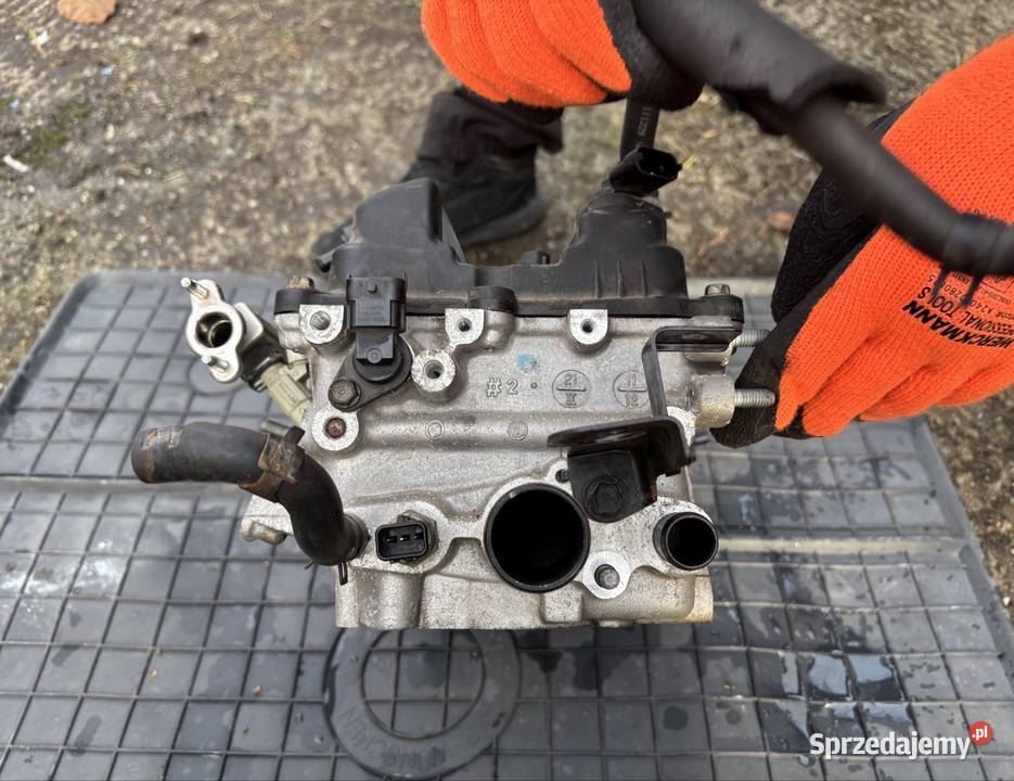 Głowica silnika G4LA 12 Kia Hyundai Przyszowice sprzedam
