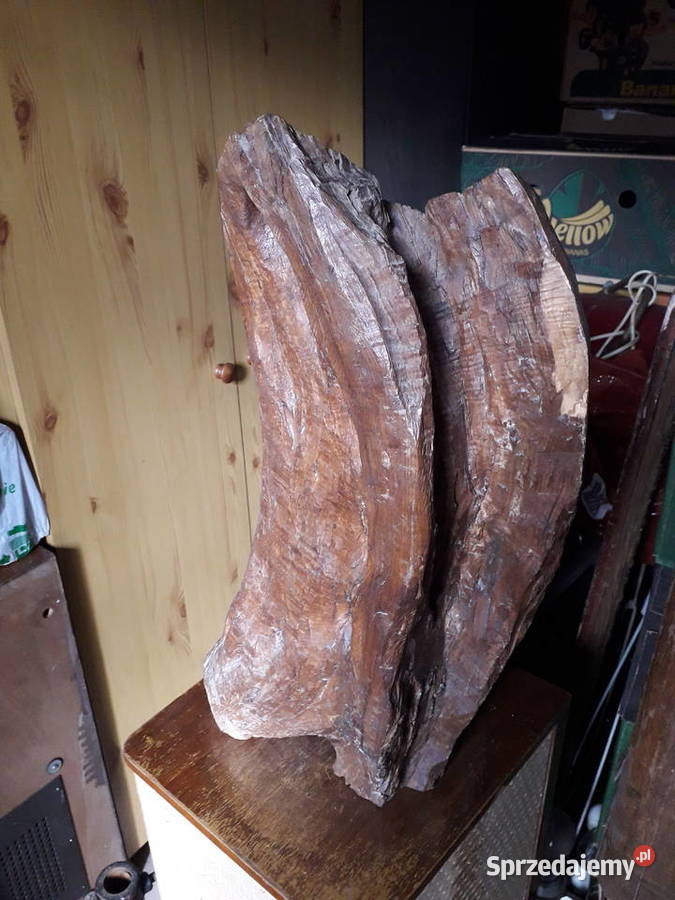 Duża rzeźba drewniana Antyki mazowieckie Warszawa