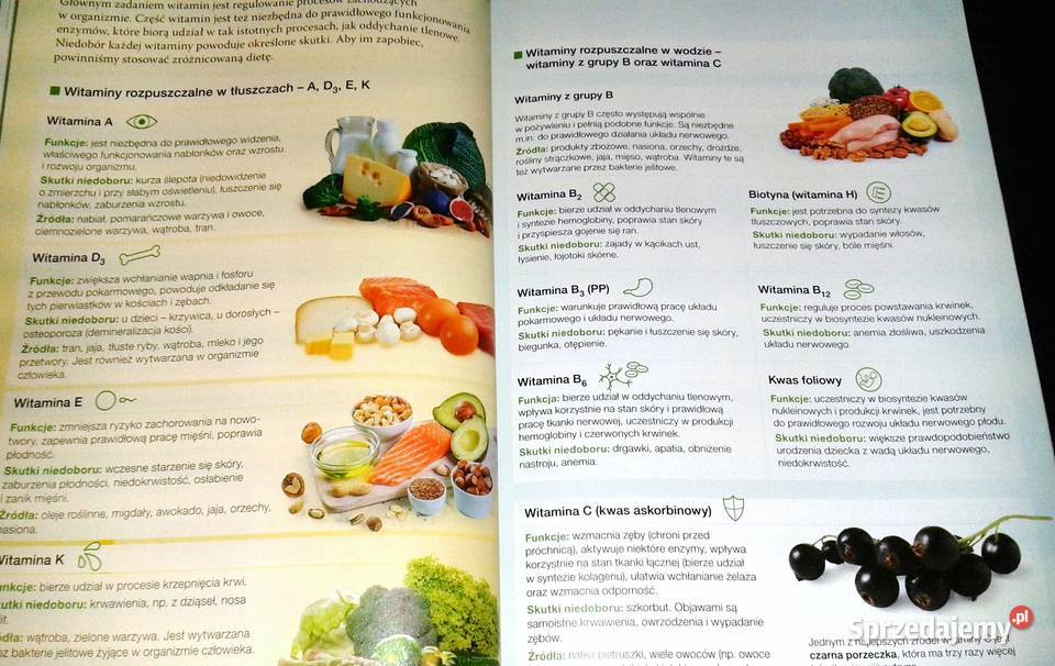Biologia na czasie 1 Podręcznik LO i tech Anna lubelskie Chełm