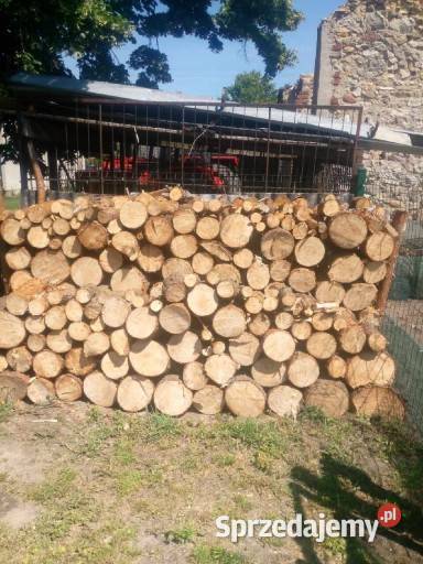 Drewno opałowe Sosna Koniecpol