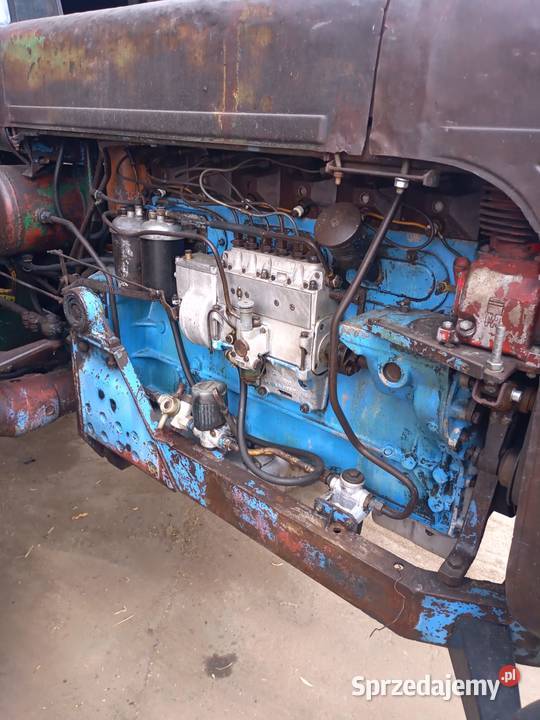 Dutra D4K Poznań sprzedam