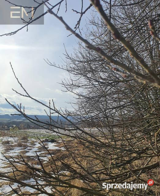 Działka 2400m2 Zgłobień podkarpackie sprzedam