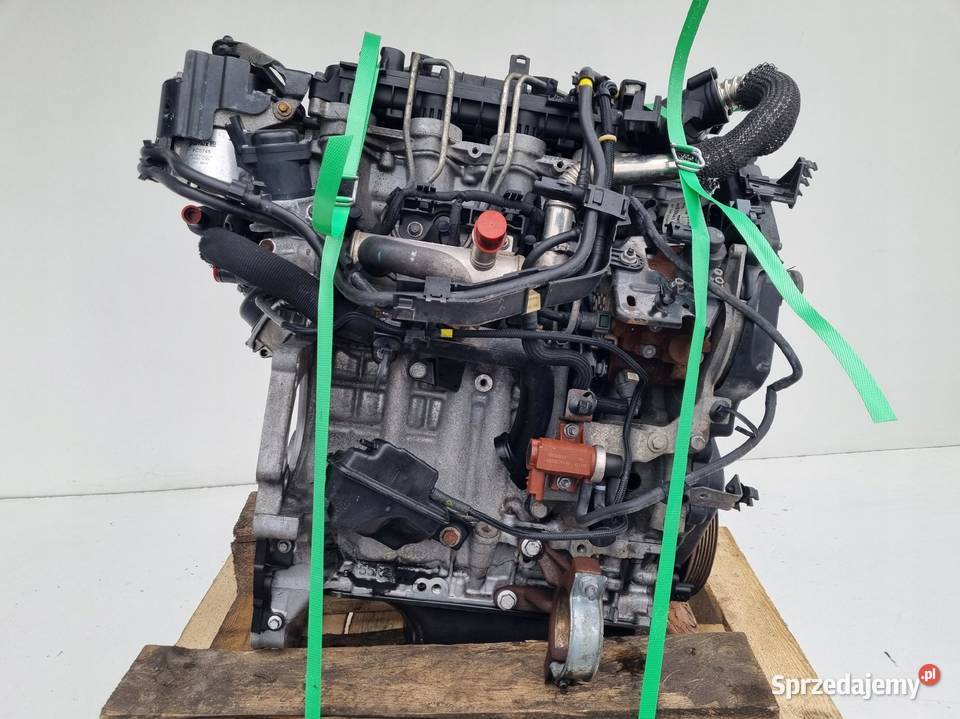 SILNIK KOMPLET Volvo V50 16 D DIESEL 109 ładnie Rudka